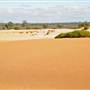 Perry Sandhills