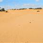Perry Sandhills