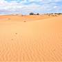 Perry Sandhills