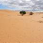 Perry Sandhills