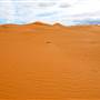 Perry Sandhills