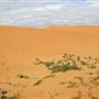 Perry Sandhills