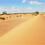 Perry Sandhills