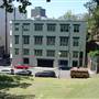 Surry Hills