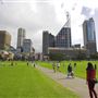 The Domain