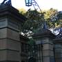 Sydney CBD - Macquarie Street