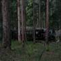 Timbertown