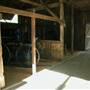 Timbertown