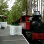 Timbertown
