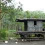 Timbertown
