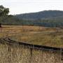 Wollar, NE of Mudgee