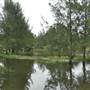 Yarramundi Reserve, Agnes Banks