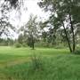 Yarramundi Reserve, Agnes Banks
