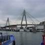 Sydney Fish Market