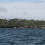Various Sydney Harbour views from water