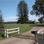 Taree