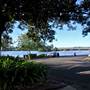 Taree