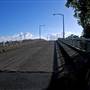 Taree
