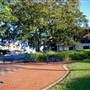 Taree