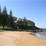Whale Beach