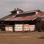 Wingham