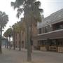 Woolloomooloo