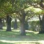 St Paul's College - Sydney University