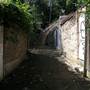 Surry Hills - Sophia Lane
