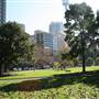 Hyde Park and Archibald Fountain - Sydney CBD