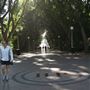 Hyde Park and Archibald Fountain - Sydney CBD