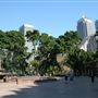 Hyde Park and Archibald Fountain - Sydney CBD
