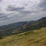 Road from Coolah Tops to Coolah