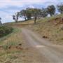 Road from Coolah Tops to Coolah