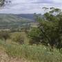 Road from Coolah Tops to Coolah