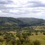 Road from Coolah Tops to Coolah