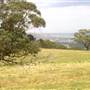 Road from Coolah Tops to Coolah