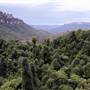 Scenic World