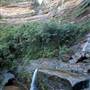Wentworth Falls