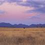 Warrumbungle National Park