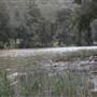 Wollondilly River Station