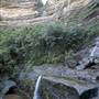 Wentworth Falls - Blue Mountains National Park
