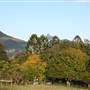 Tweed Valley 2 of 2