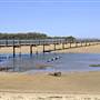 Urunga