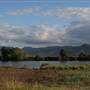 Tweed Valley 2 of 2