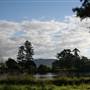 Tweed Valley 2 of 2