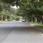 Lindfield