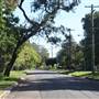 Lindfield