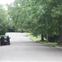 Coolabah Ave - Pymble