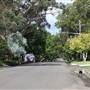 Kintore St - Pymble
