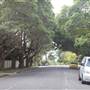 Ku-Ring-Gai Ave - Pymble